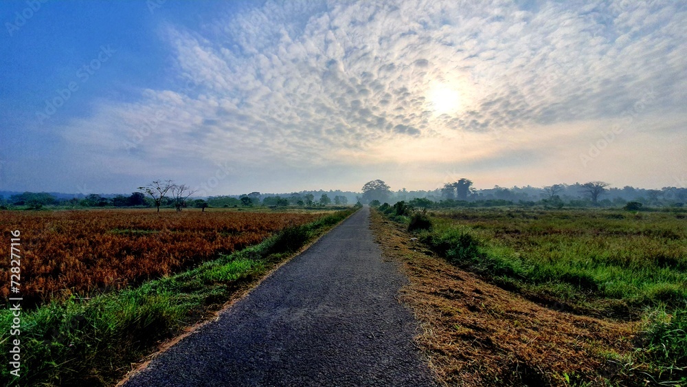 STRAIGHT ROAD WITH PADDY FIELDS ON THE SIDED WITH MISTY WEATHER STRAIGHT ROAD WITH PADDY FIELDS ON THE SIDED WITH MISTY WEATHER