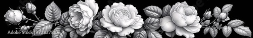 Flower Power White Rose in Full Bloom Generative AI