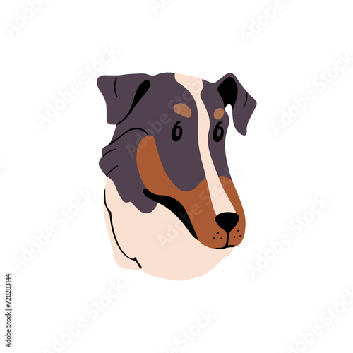 Cute Smooth Collie face. Puppy muzzle of Australian Shepherd. Happy pup of herding dog. Tricolor sheepdog portrait of shorthair breed. Funny pet avatar. Flat isolated vector illustration on white