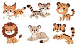 Set of flat vector illustrations in children's style. Cute wild cats lion, tiger, leopard, puma, ocelot, lynx. . Vector illustration