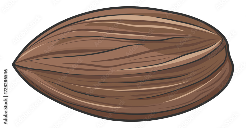 nut almond vector no background nut almond vector no background