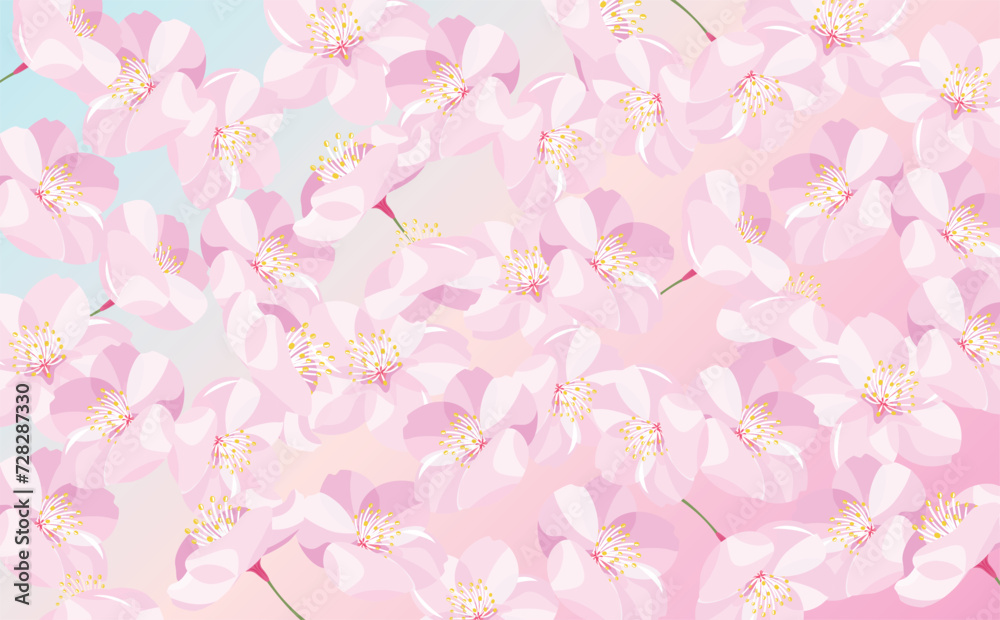 背景やタイトルに使えるシンプルな満開の桜の花びらのコピースペースのあるレインボーな春フレーム