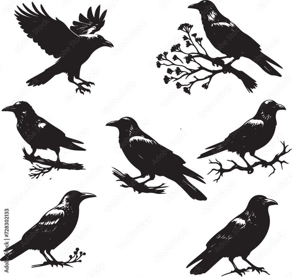 Fototapeta premium Black crow silhouette vector