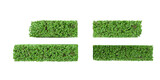 Top view of beautiful Boxwood plants isolated on transparent background. Realistic 3D render. 3D illustration