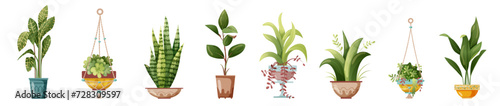Houseplant and macrame plant growing in pots. Set of handmade home decorations macrame plants isolated on white background. Cartoon flat illustration.