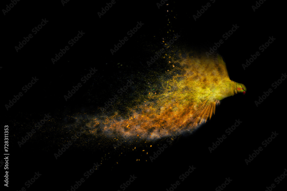 Fototapeta premium Flying parrot. Abstract artistic nature. Dispersion, splatter effect. Black background.
