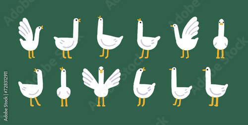 Cute goose set. Funny geese, adorable farm birds. Feathered winged animals, comic amusing fauna in simple childs style. Isolated kids childish nursery flat vector illustrations