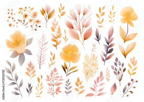 Elegant watercolor botanicals, pastel floral illustration for design