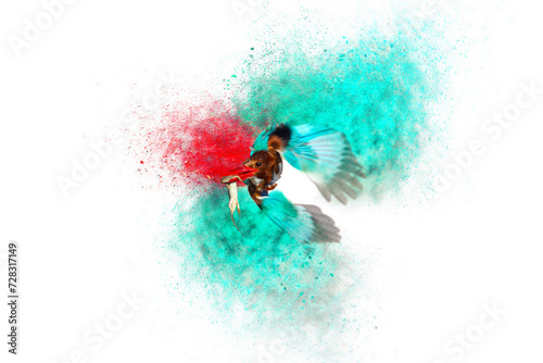Flying bird. Abstract artistic nature. Dispersion, splatter effect. White background. © serkanmutan