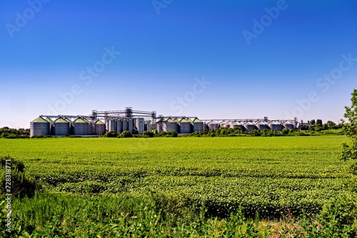 Field of green grass and flowers with silos in the background.