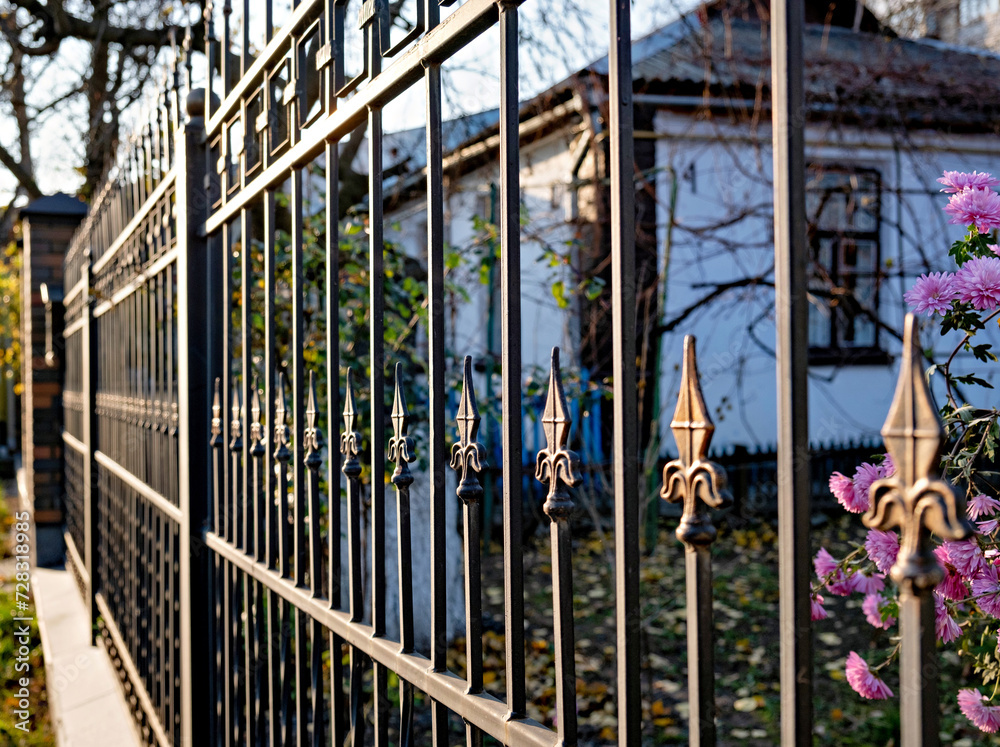 Black wrought iron fence in front of white house with purple flowers growing on it. Black wrought iron fence in front of white house with purple flowers growing on it.