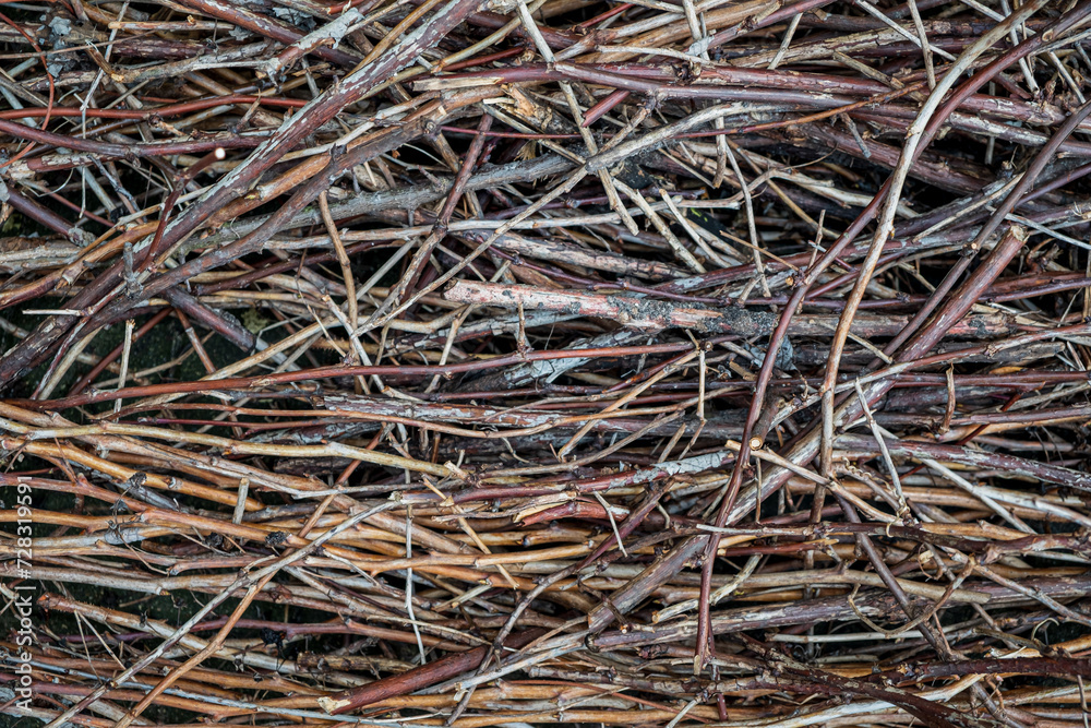branches background on the ground branches background on the ground