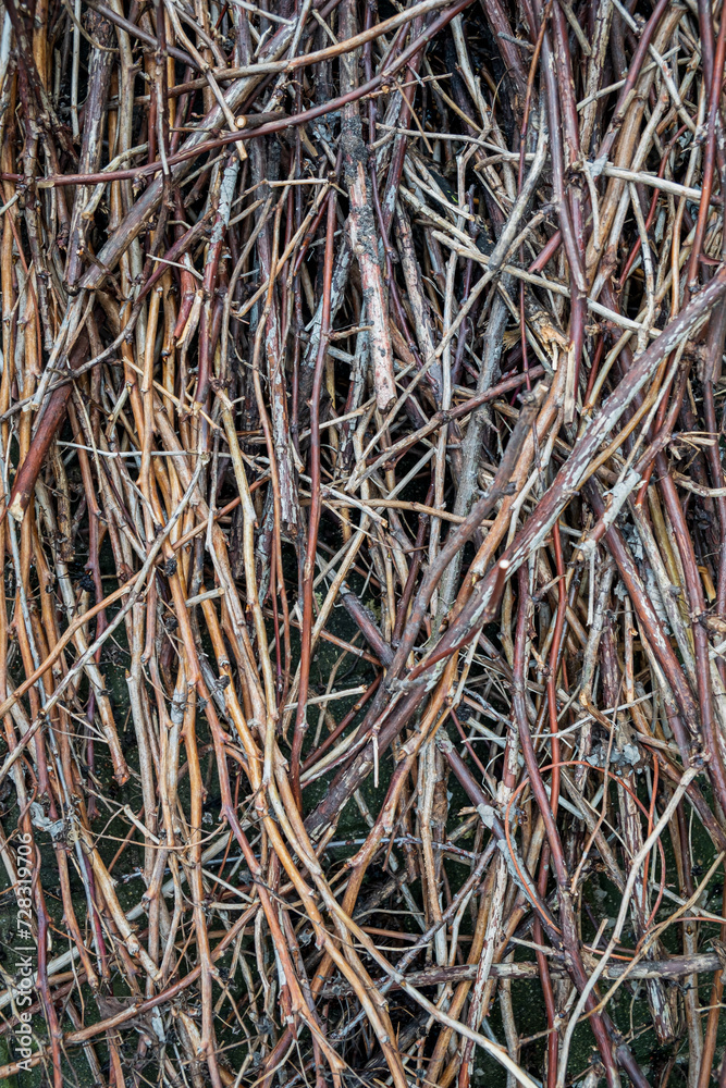 branches background on the ground