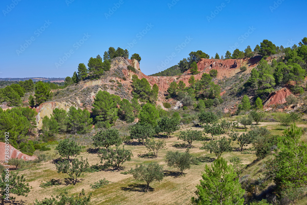 An orchard at the foot of a cliff overgrown with trees