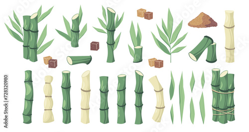 Cartoon sugar cane. Sweet stalks of sugarcane juice, organic raw material for sugar production, agriculture plantation and bio industry concept. Vector set. Natural plant for production