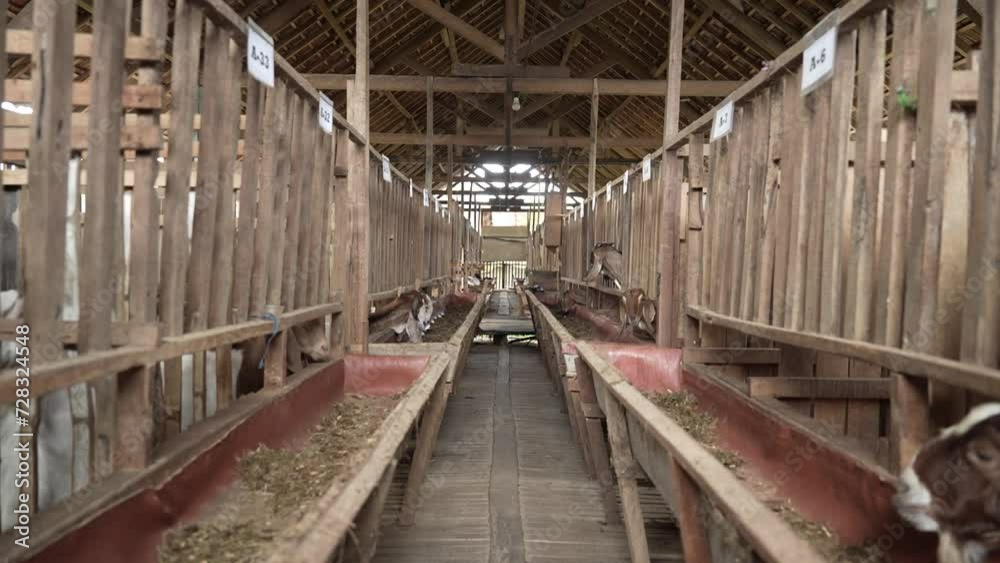 appearance of a goat farm using wooden cages appearance of a goat farm using wooden cages