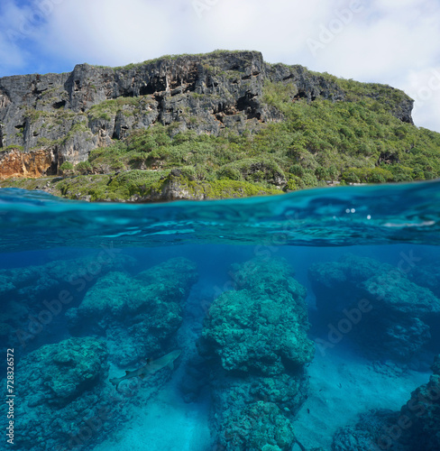Coastline with cliff and rocky reef eroded by the swell underwater, split view half over and under water surface, natural scene, south Pacific ocean, Rurutu, French Polynesia