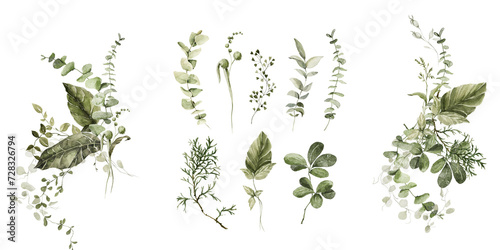 Watercolor floral composition. Hand painted flowers, green forest leaves of fern, eucalyptus leaf. Bouquet isolated on white background. Botanical illustration for design, print or background
