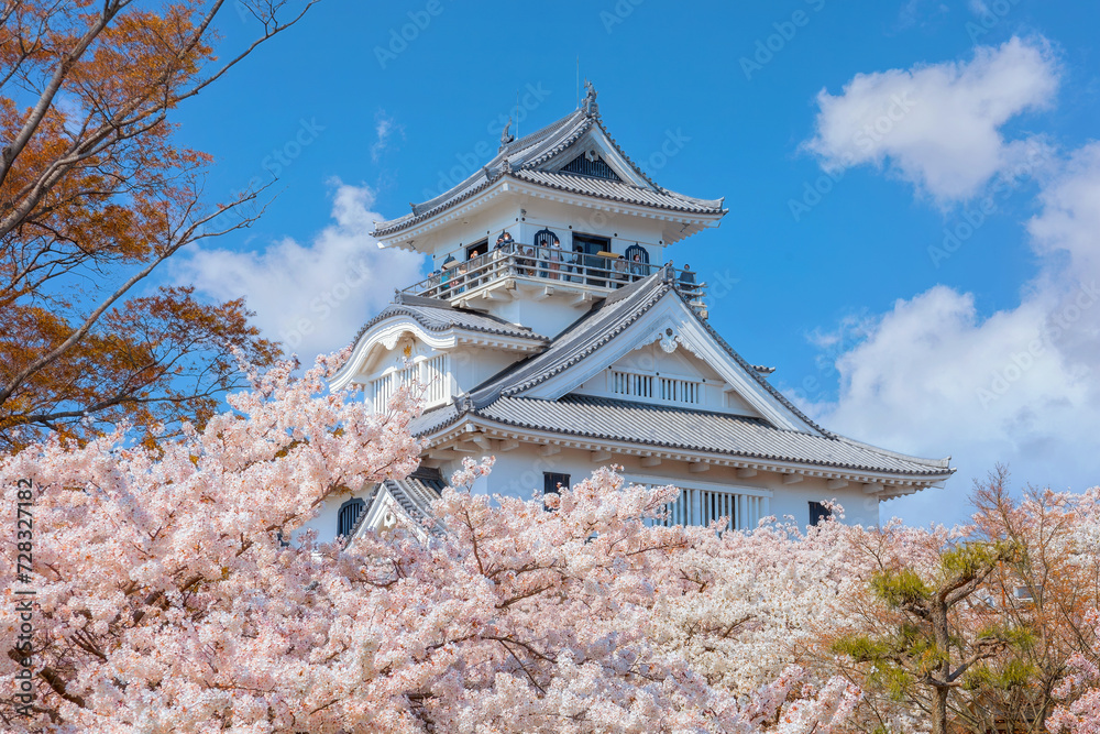 Nagahama Castle in Shiga Prefecture, Japan during full bloom cherry blossom Nagahama Castle in Shiga Prefecture, Japan during full bloom cherry blossom