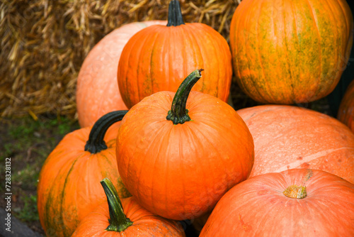 Pumpkin lying at the market after the autumn harvest.