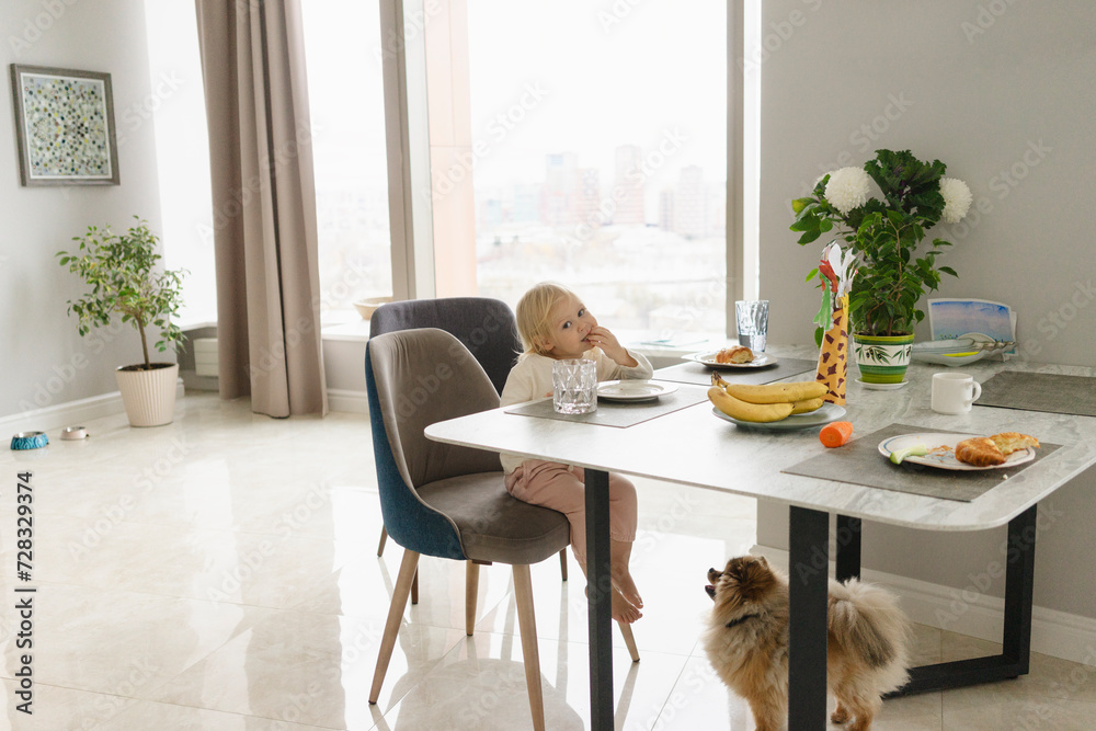 Girl eating breakfast at dining table Girl eating breakfast at dining table