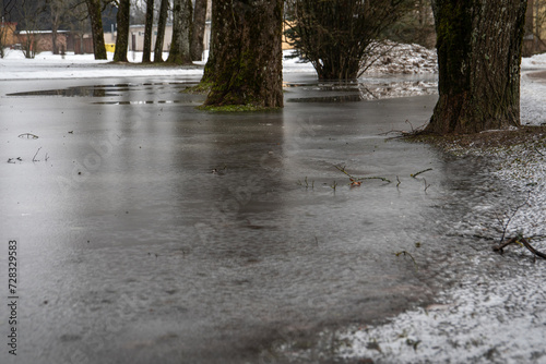 Fototapeta Naklejka Na Ścianę i Meble -  Flooded park in spring, water covered with ice
