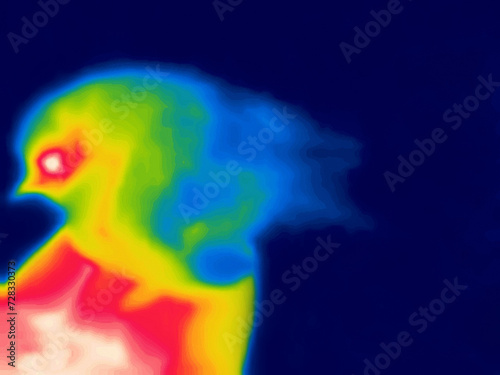 The Firebird (from Igor Stravinsky's ballet) - the mystical bird of happiness imagination. Thermal impressijnism