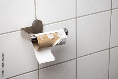 Empty Toilet Paper Roll on a Bathroom Holder