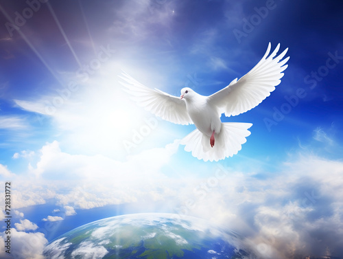 White dove bird with world ball with sky sun and clouds on background