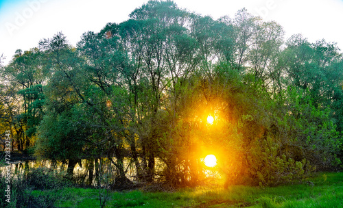 Unusual-looking morning sunrise in valley of river, disk of sun is visible through green floodplain forest and is reflected in oxbow lake water of spring flood - The sunrise was a beautiful scene photo