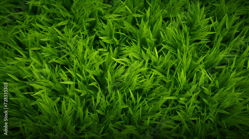 Abstract representation of artificial green grass and plants in a natural setting combining the beauty of nature with the concept of artificial elements ,, Background of artifical green grass Pro Pho 