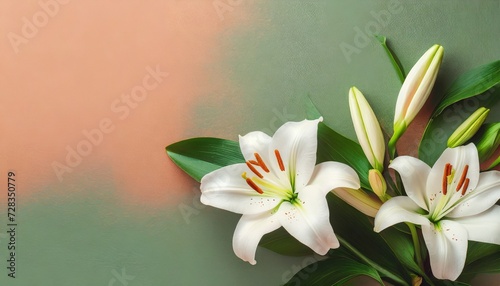 beautiful floral background with white lily flower on same color background banner template for beauty spa wellness natural cosmetics concept