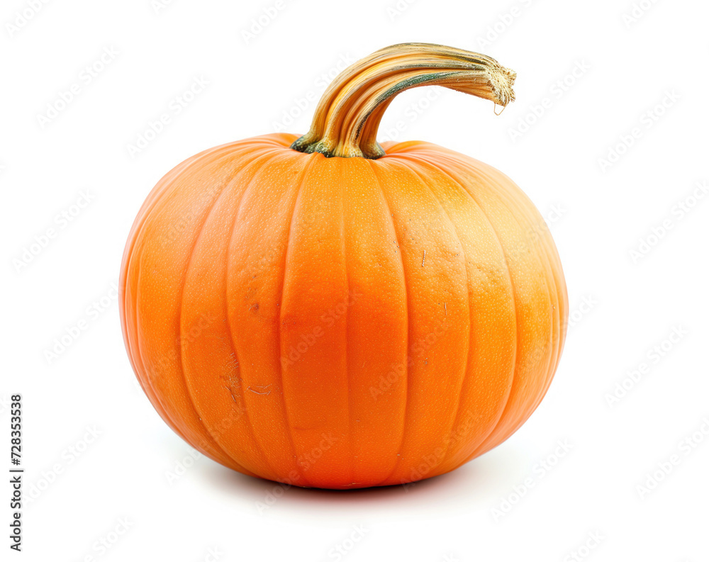 Obraz premium A ripe, vibrant orange pumpkin with a curvy stem, isolated on a clean white background. Ideal for fall or Halloween-themed content.