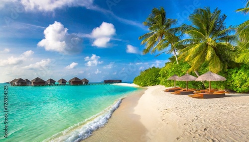 tropical beach in the maldives © Debbie