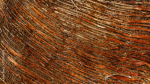 Foto Textured Coconut Coir Close-up