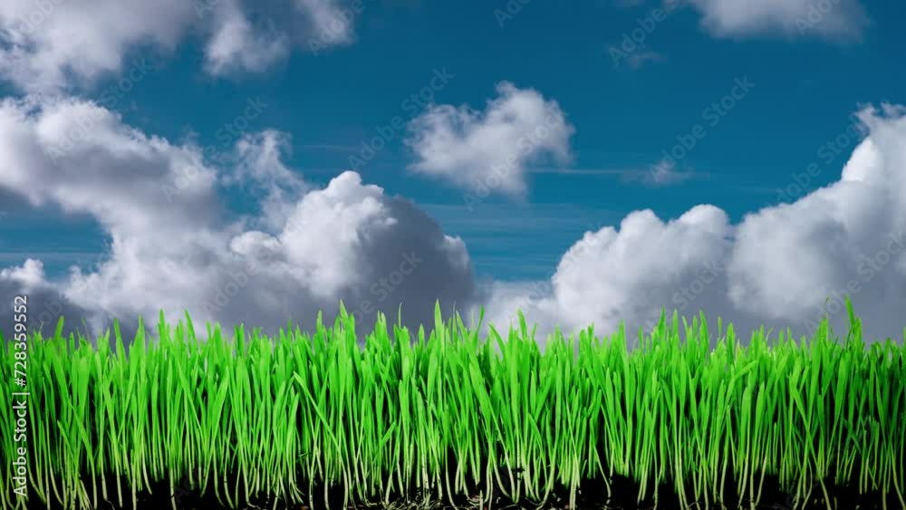 Green seedling growing on the fly clouds Green seedling growing on the fly clouds