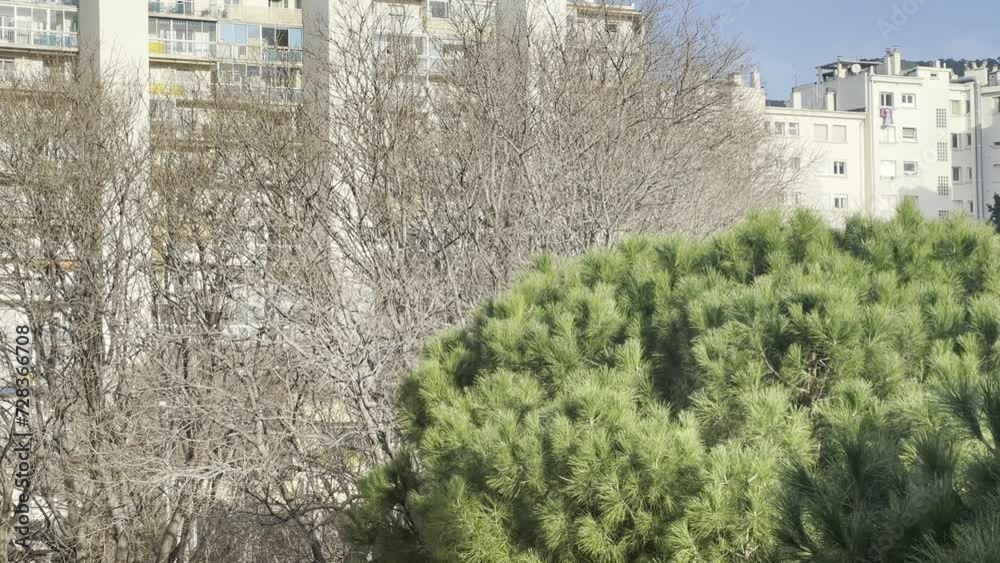 Vidéo voisinage bâtiment avec de la verdure Vidéo voisinage bâtiment avec de la verdure