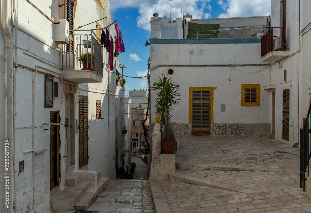 Fototapeta premium Polignano a Mare, Italy - one of the most beautiful cities on the Adriatic Sea, Polignano a Mare is a main landmark in Apulia. Here in particular its narrow alleyways 