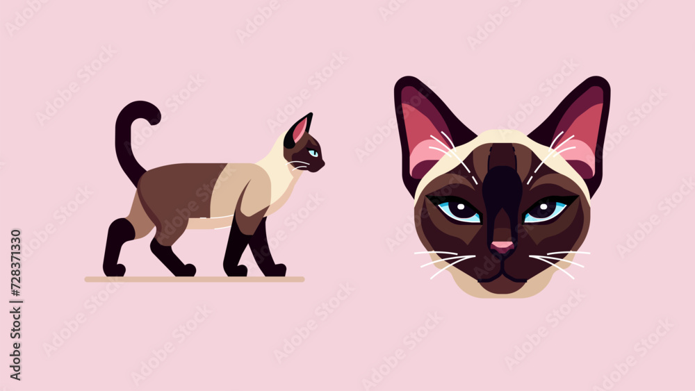 Siamese Cat in Full Glory And A Close-up View of a Siamese Cat Face, Flat Design Sticker Stile Siamese Cat in Full Glory And A Close-up View of a Siamese Cat Face, Flat Design Sticker Stile