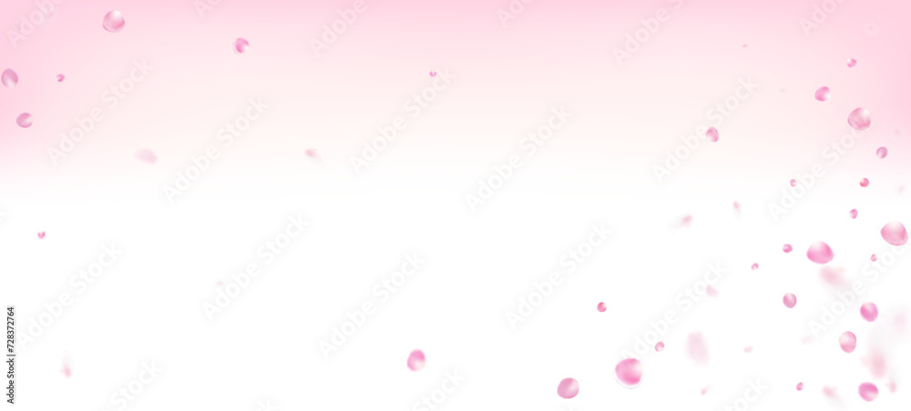 Rose Petals Falling Confetti. Flying Japanese Sakura Cherry Rose