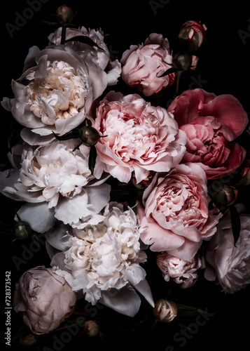 Low-Key Aufnahme mehreren rosaroten Pfingstrosenblüten vor einem schwarzen Hintergrund