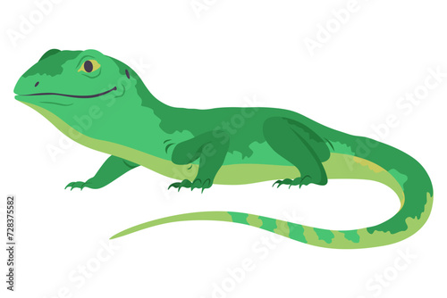 Lizard icon. Tropical colorful decorative amphibian. Fauna character in wildlife or zoo. Wildlife colorful creature isolated on white vector illustration