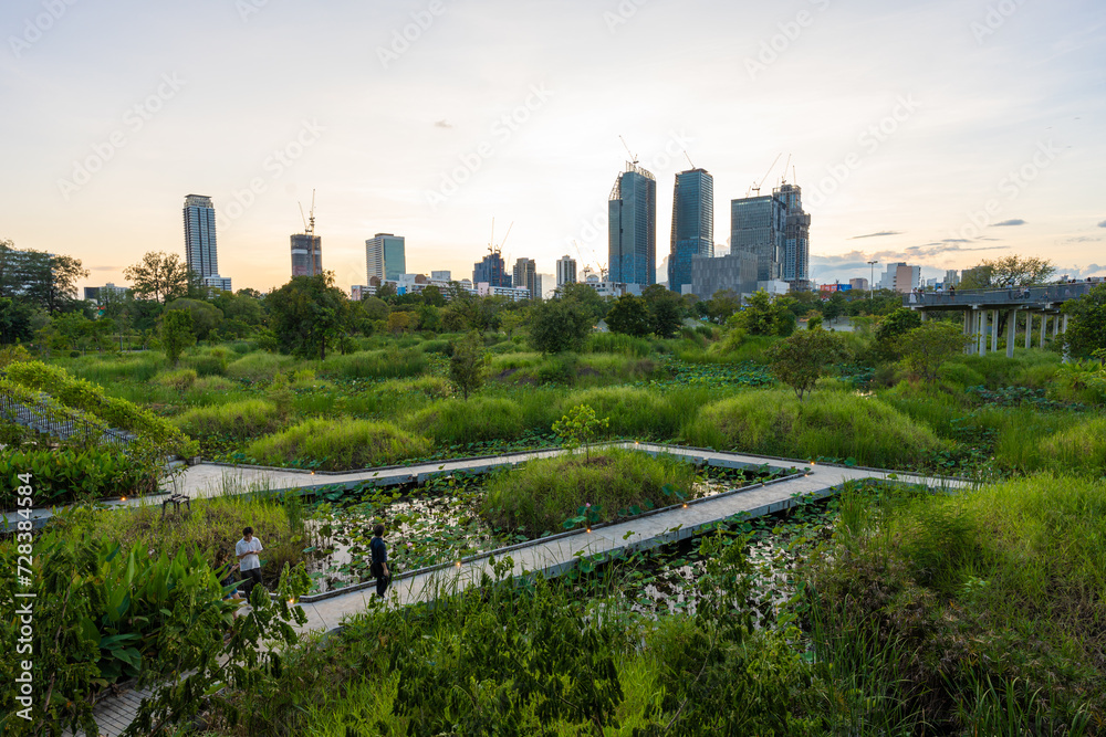 Fototapeta premium Tropical forest park swamp garden in city public park with office building Benchakitti park