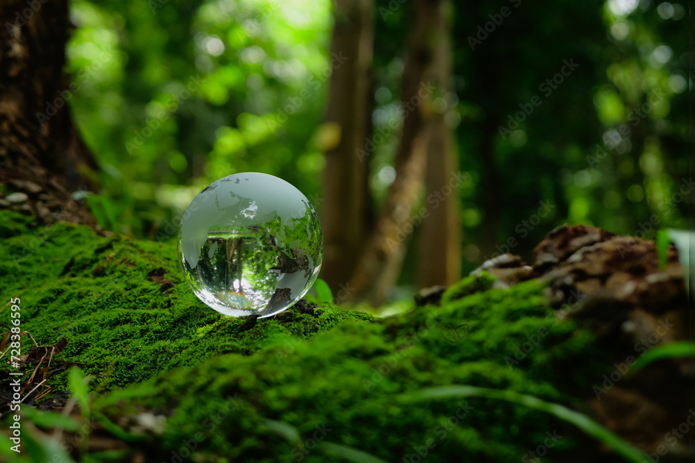 Earth crystal glass globe ball and tree on green sunny background. Saving environment, save clean planet, ecology concept. Card for World Earth Day. Earth crystal glass globe ball and tree on green sunny background. Saving environment, save clean planet, ecology concept. Card for World Earth Day.