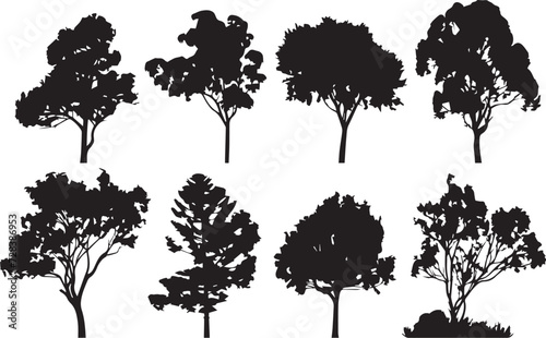 Set Trees. Hand drawn vector illustration 