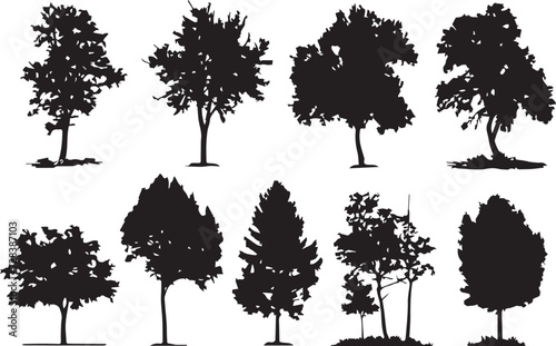 Set Trees. Hand drawn vector illustration 