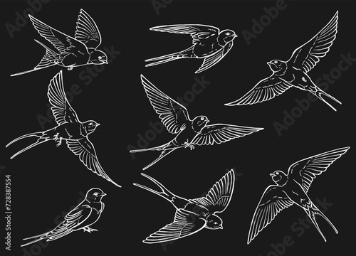 Set of flying swallow. Hand drawn illustration converted to vector.