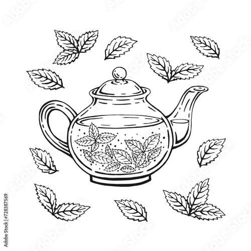 Teapot, mint leaves, tea. Hand drawn vector illustration in outline style.