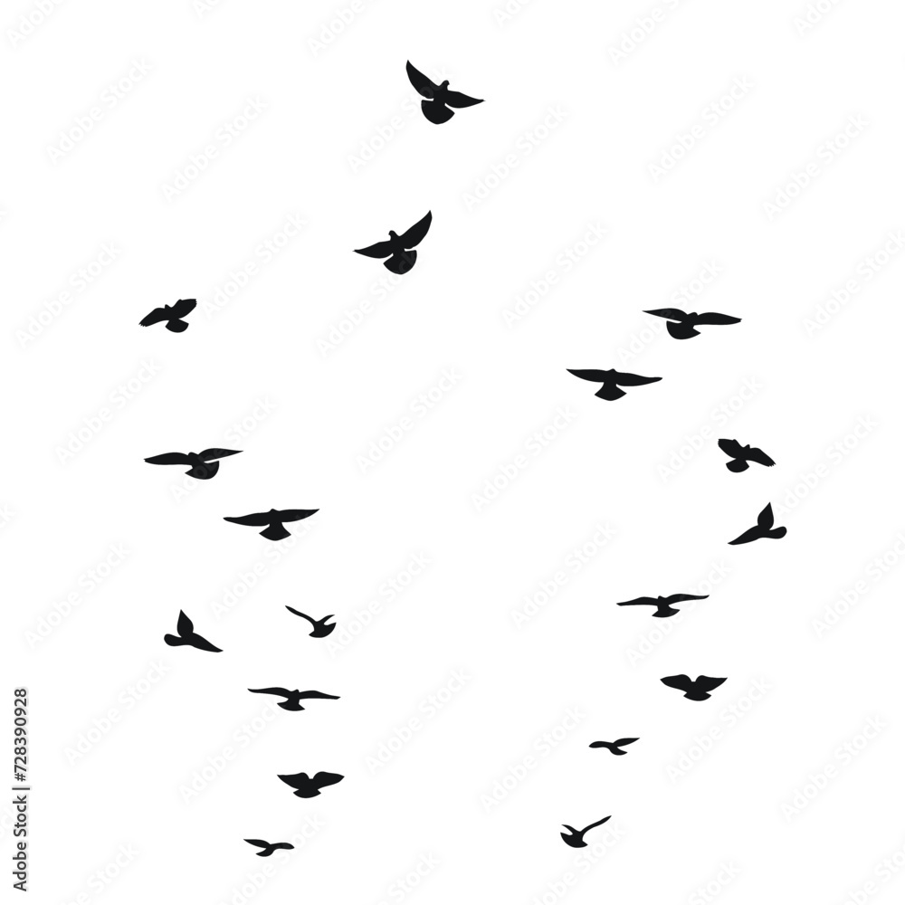 Sketch silhouette of a flock of flying black birds. Doves, pigeons, raven, crow, gull, seagull, sparrow, isolated vector