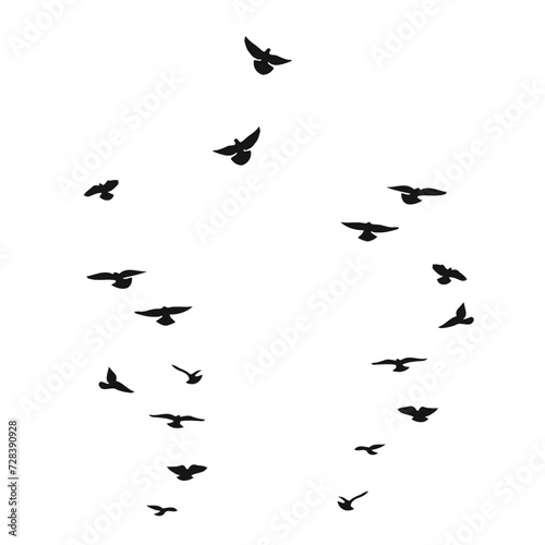 Sketch silhouette of a flock of flying black birds. Doves, pigeons, raven, crow, gull, seagull, sparrow, isolated vector © Mar